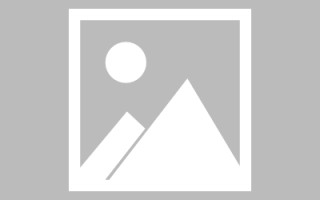 福鼎新区景区网站建设（in art criticism,you must assume）